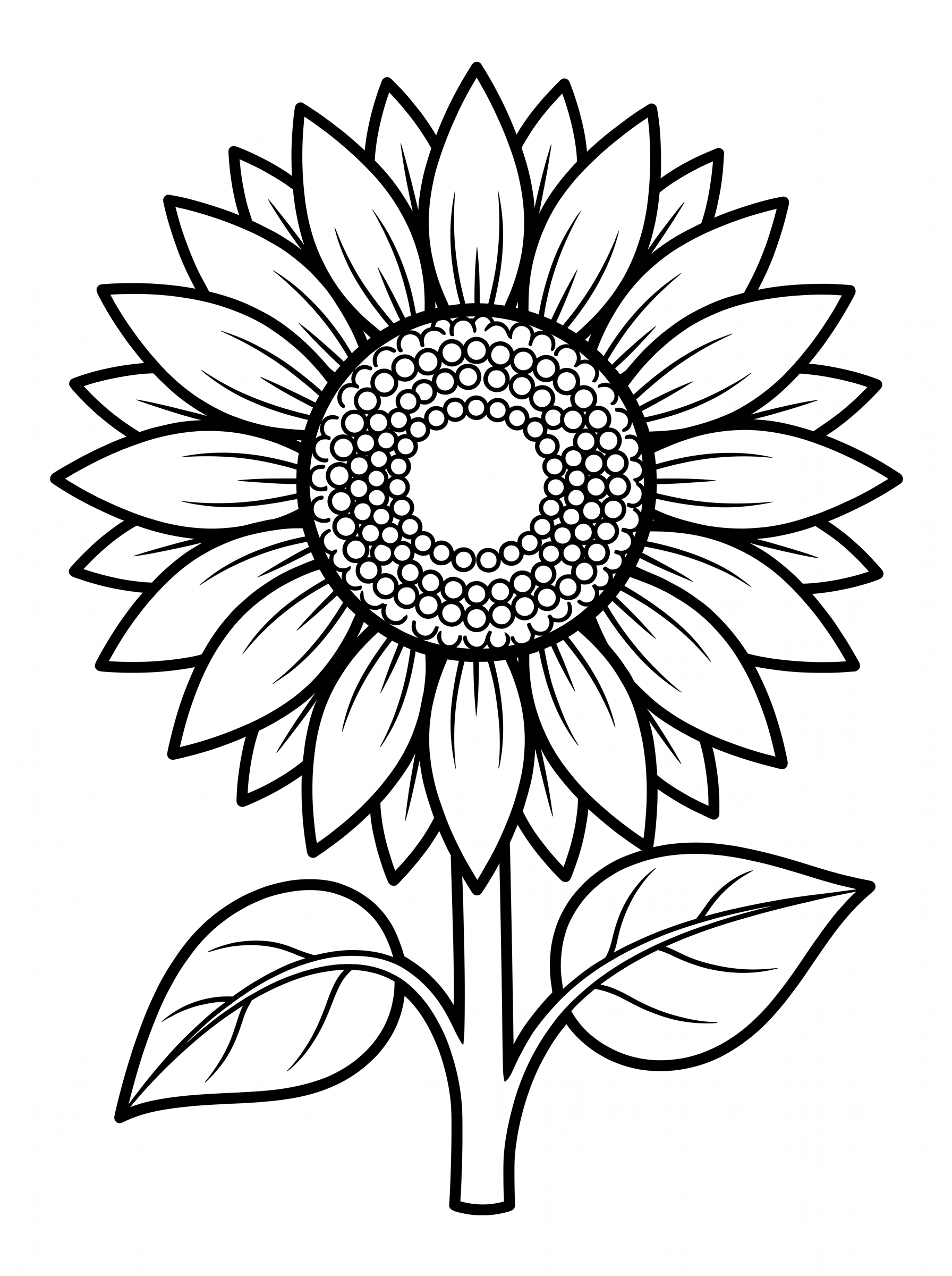 Sunflower coloring page with round center and long petals