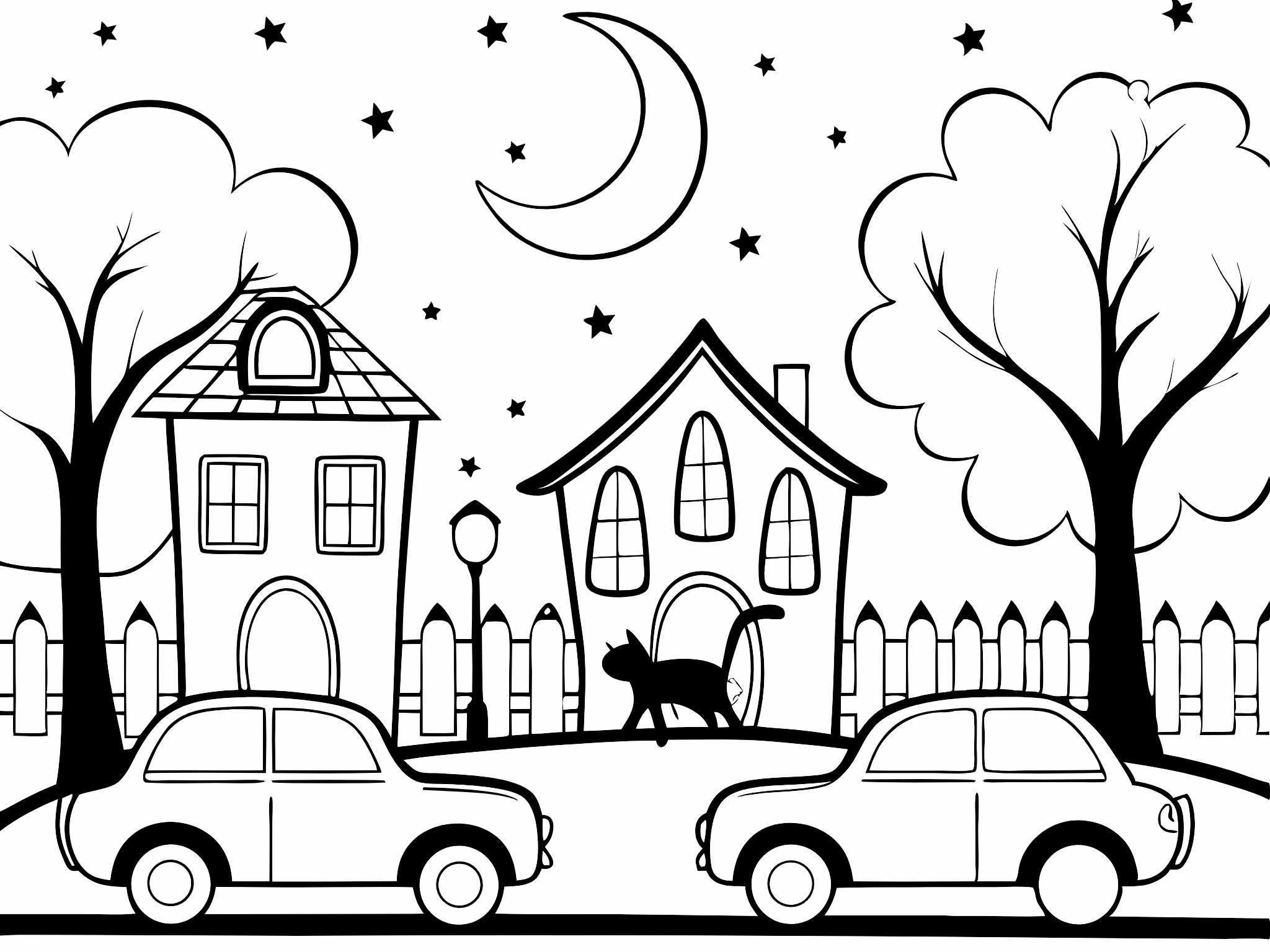 Cat In The Streets