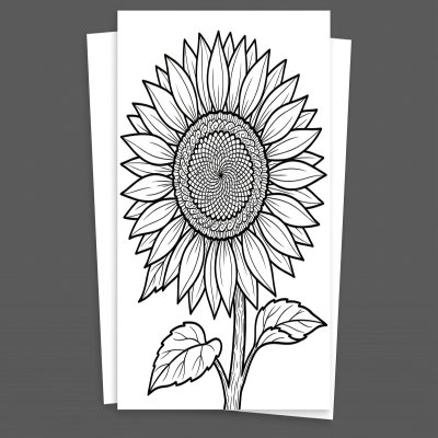 Sunflower coloring page with round center and long petals